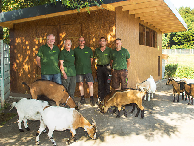 wildpark bad marienberg wildparkbadmarienbergs webseite