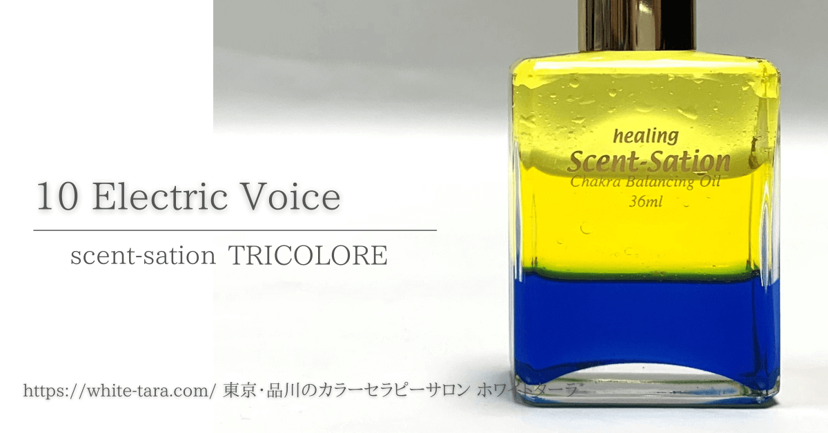 センセーショントリコロール | カラーセラピスト資格取得講座 - 東京 