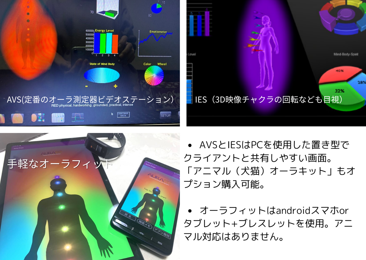 Healy Resonance オーラ測定波動調整器