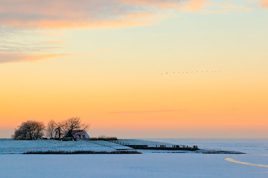 'Winter in Friesland' - Tweede prijs Franeker Courant - 2011