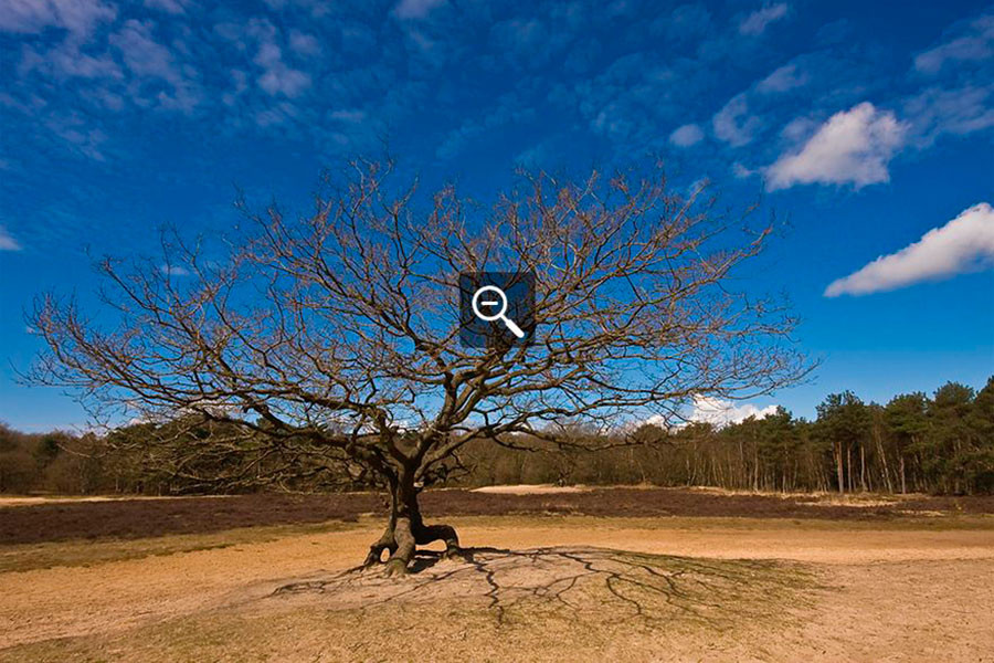 'De 12 landschappen' - Tweede prijs It Fryske Gea - 2009