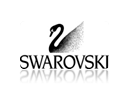 Swarovski China e-commerce Tmall consulting