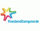 Friesland Campina China e-commerce consulting