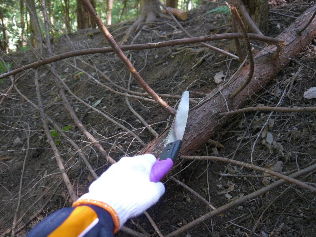 倒れた木の枝を払って、適当な長さに切り分けます。