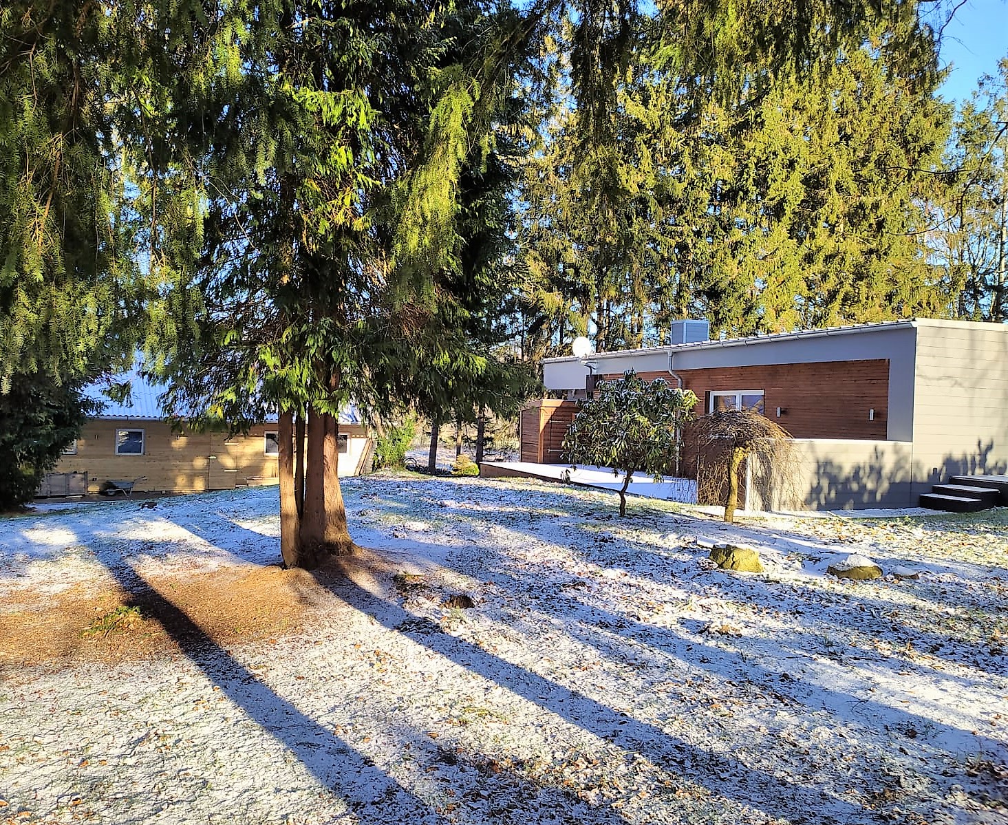 Auch im Winter schön