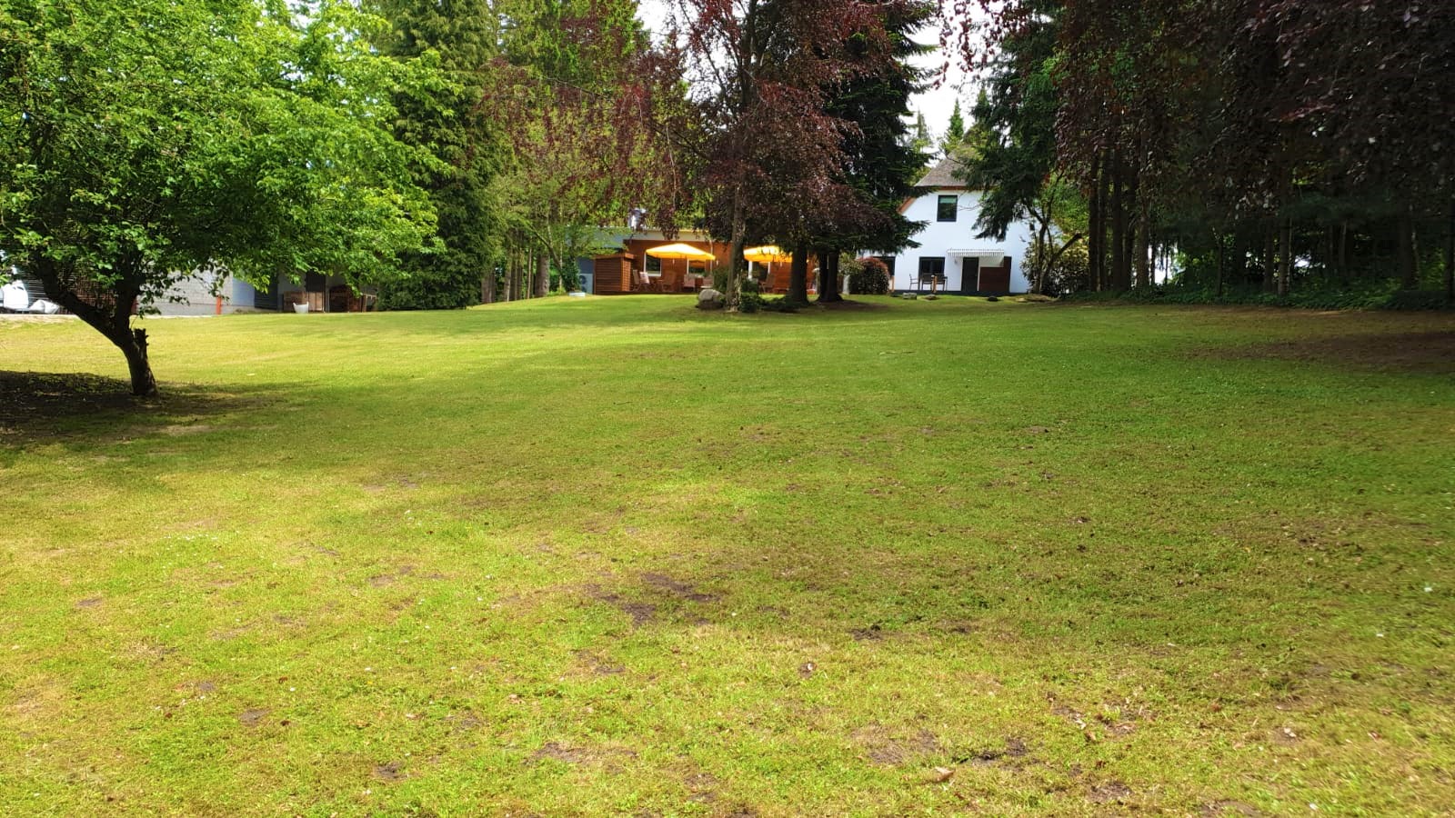 Blick in den Garten
