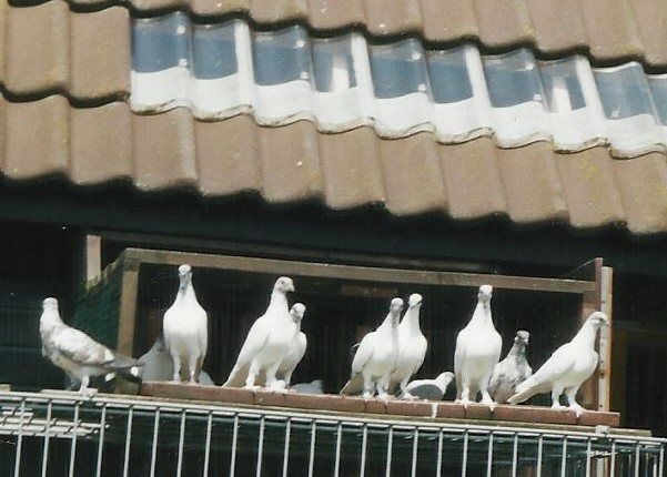 Jahr 2001