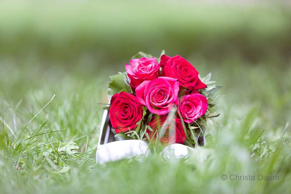 Foto: Christa Daum