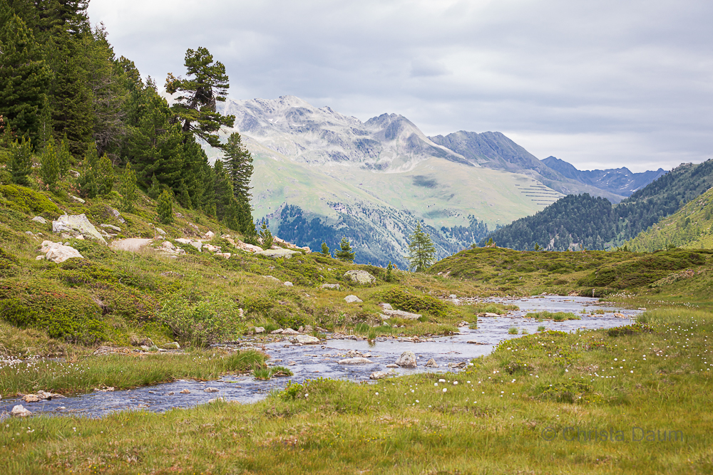 Staller Sattel Osttirol, Foto: Christa Daum 