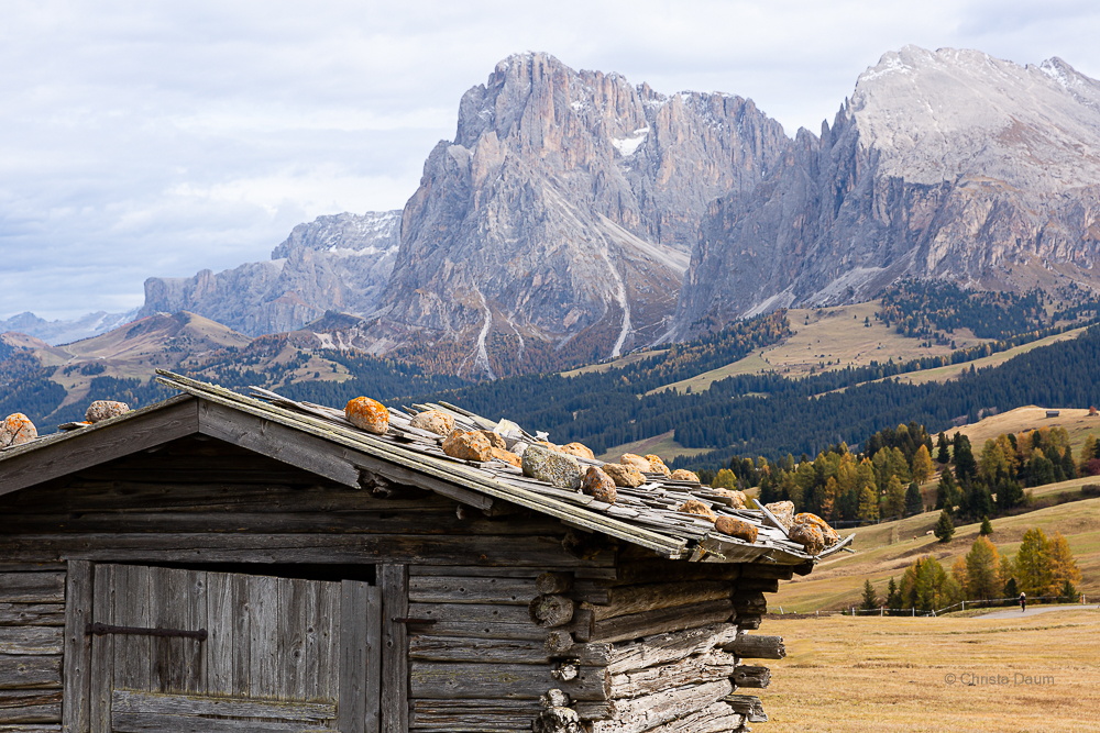 Seiser Alm, Foto: Christa Daum