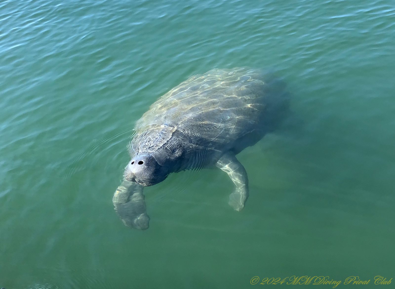 Florida