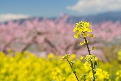 安心低料金へのこだわり