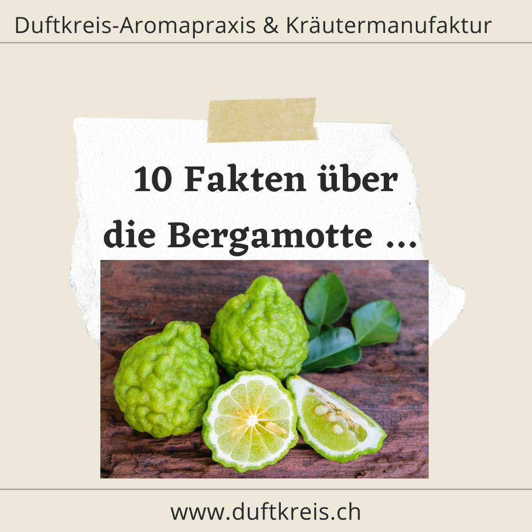 10 Fakten über das äth. Öl der Bergamotte