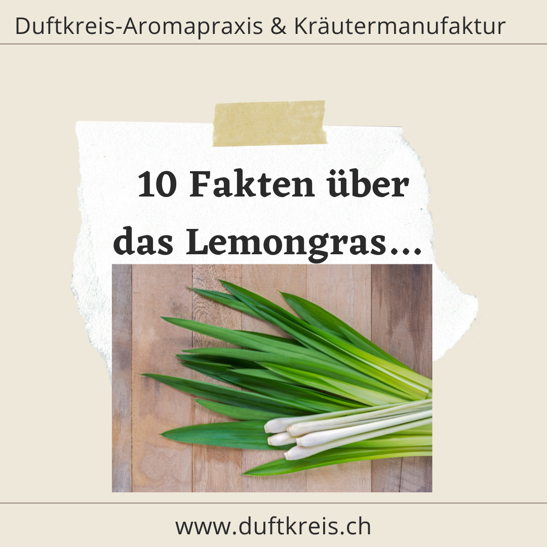 10 Fakten über das äth. Öl Lemongras