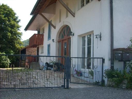 Haus