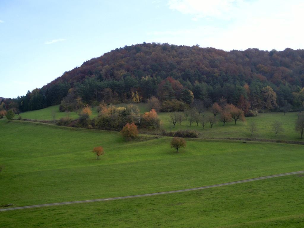 Umgebung