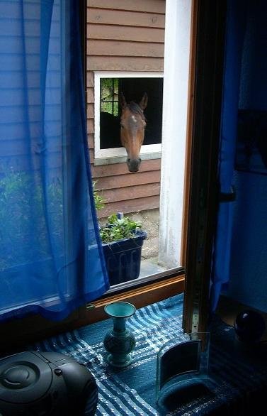 Wohnzimmerausblick ;-)