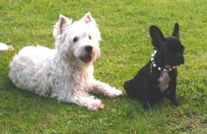 Diva & Kymo