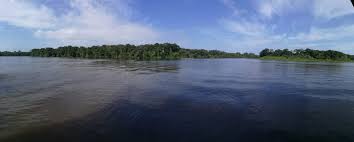 Private shuttle traveling between Tortuguero and La Fortuna through Costa Rica's scenic rainforest landscapes.