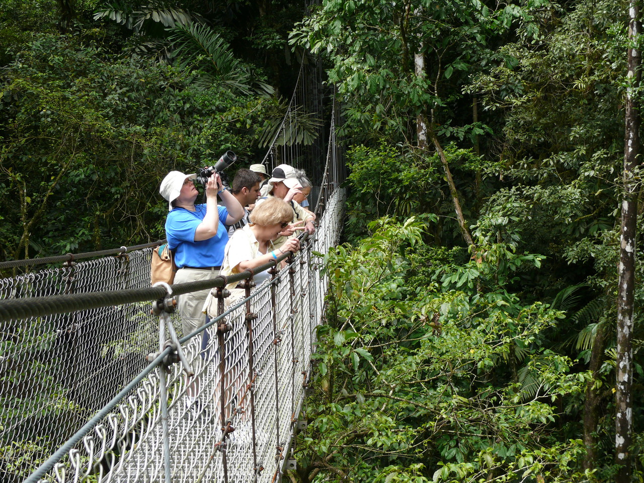 Puentes Colgantes del - Arenal Volcano Costa Rica Tours Hotels transportation and info. Travel vacation Packages