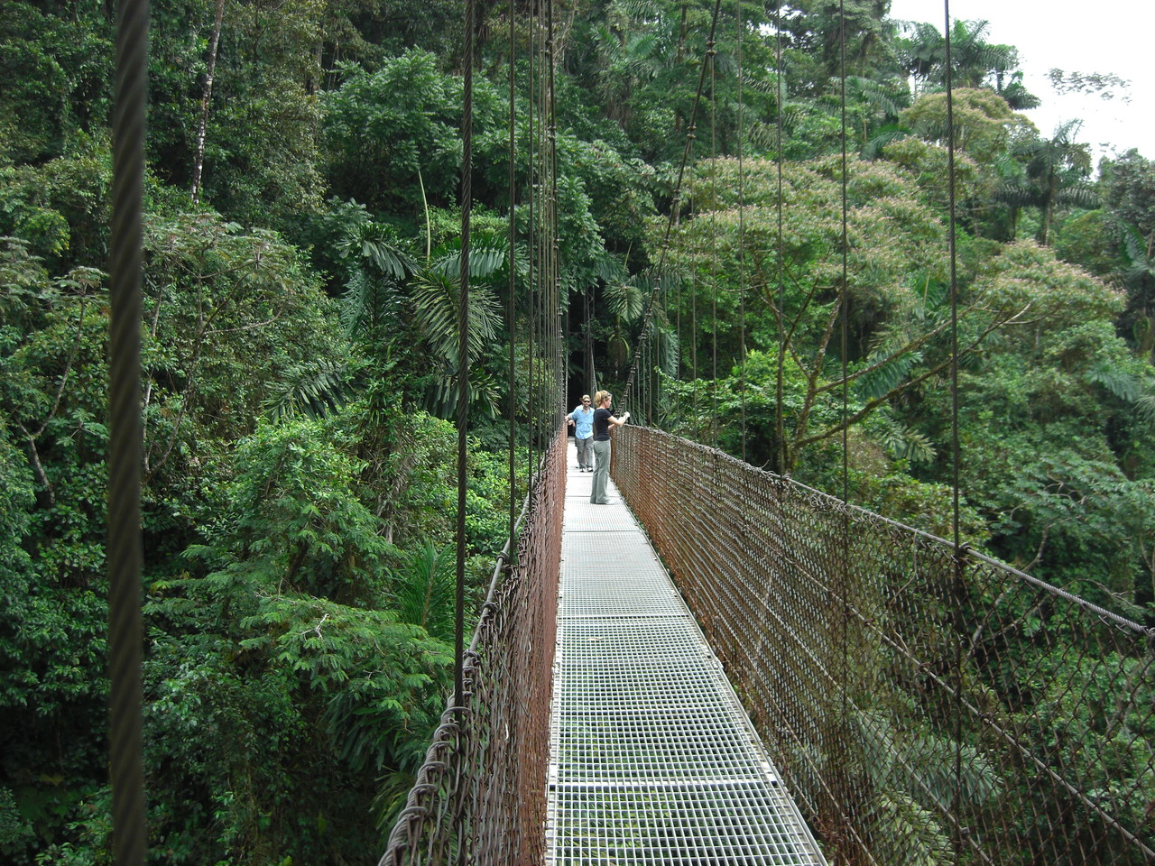Arenal Hanging Bridges Hike Arenal Volcano Costa Rica Tours Hotels transportation and info. Travel vacation Packages