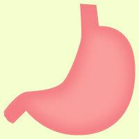 経鼻内視鏡検査