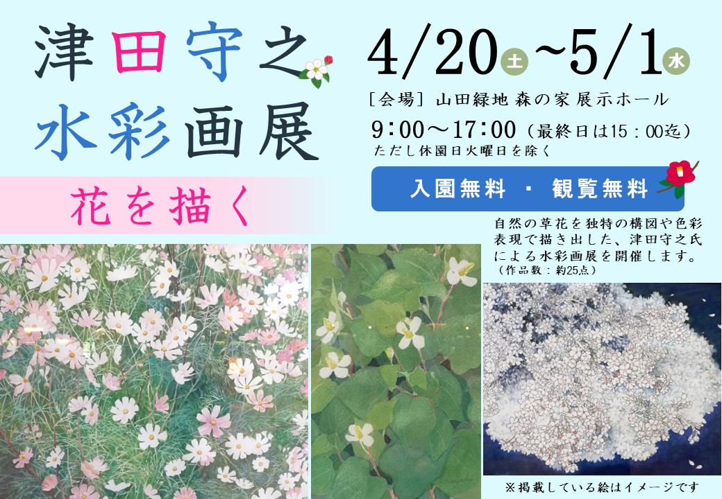 津田守之 水彩画展】花を描く - 北九州市立山田緑地