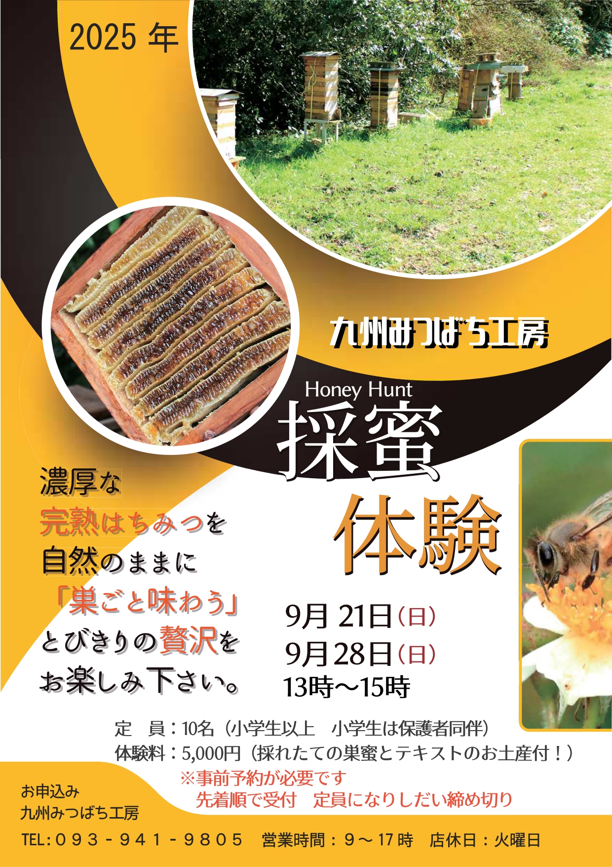 ☘️スペシャルイベント☘️3193 【限定1】【Will】【原生地採取】【ムルチ】 ニホンミツバチの採蜜体験 - 北九州市立山田緑地