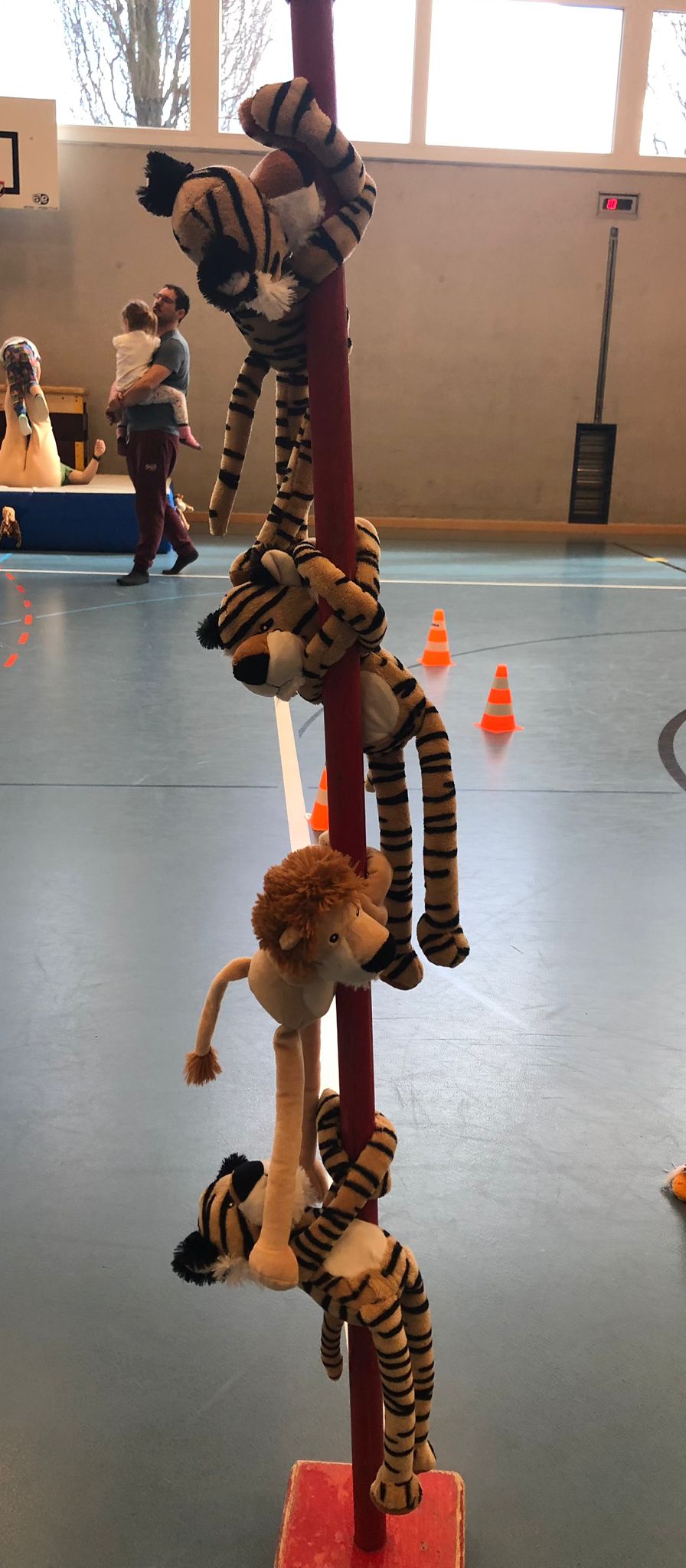 Zoo Lektion