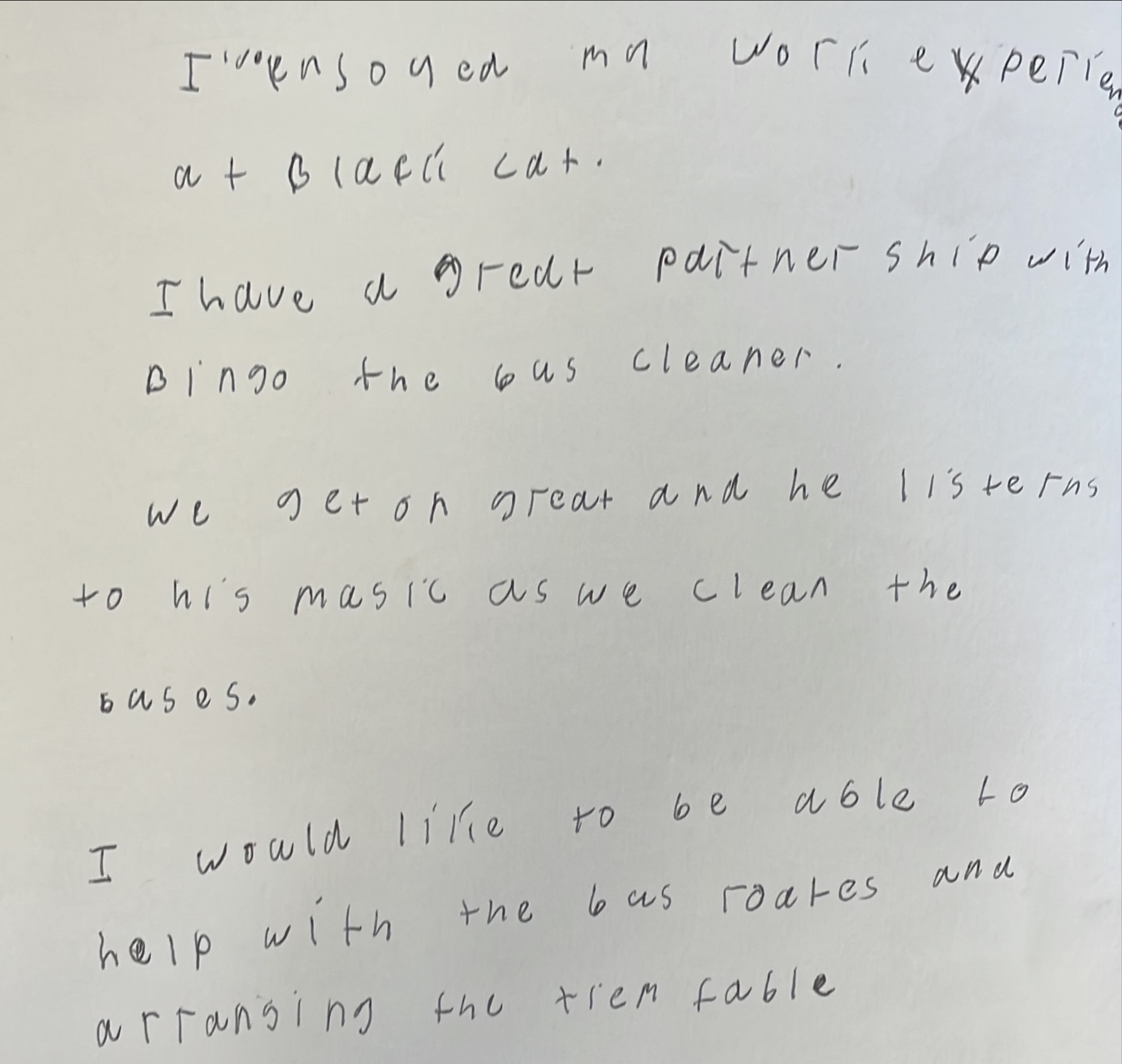 Work Experience Lincoln St Christopher's School