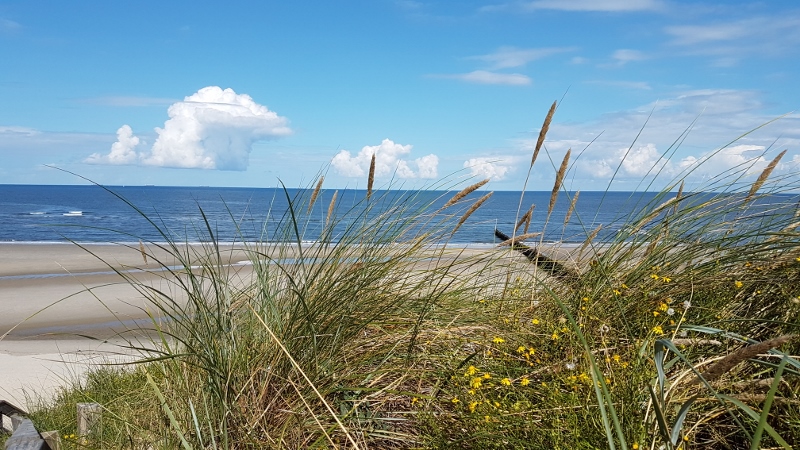 Wangerooge Strand