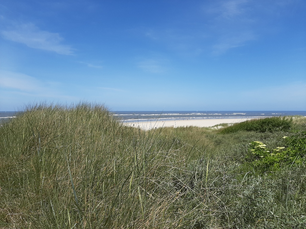 Langeoog Dünen