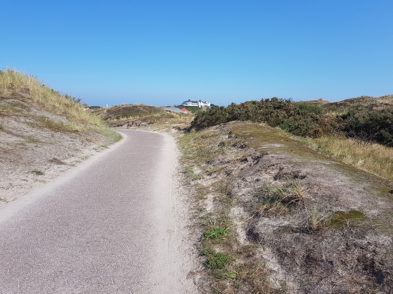 Langeoog Dünen