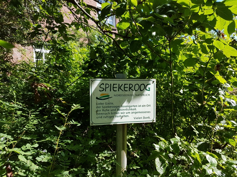 Spiekeroog Rosengarten
