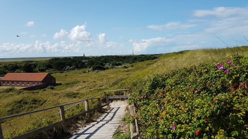 Wangerooge Dünen