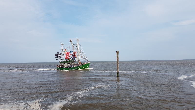 Neuharlingersiel Kutterregatta