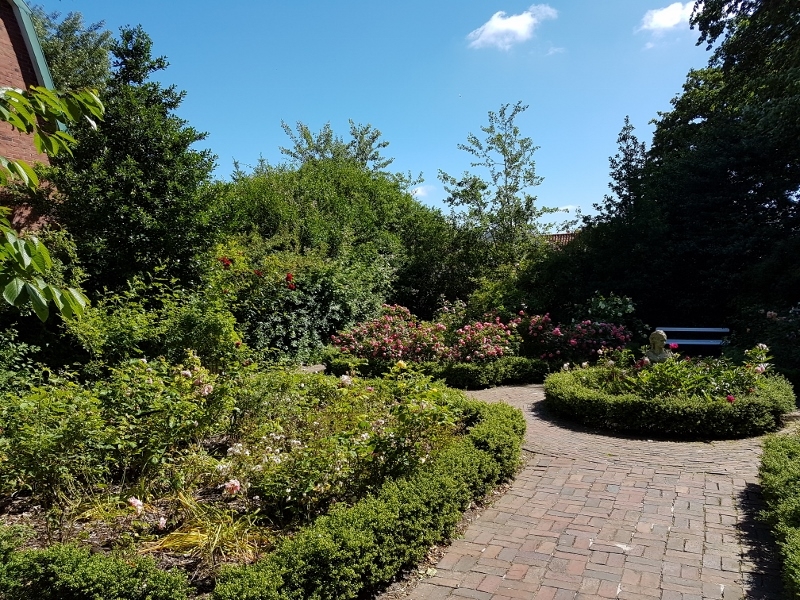 Spiekeroog Rosengarten 
