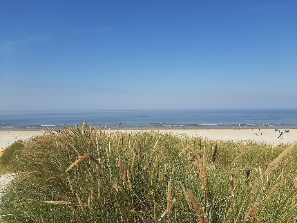 Wangerooge Dünen