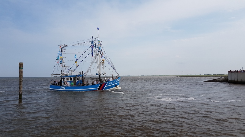 Neuharlingersiel Kutterregatta