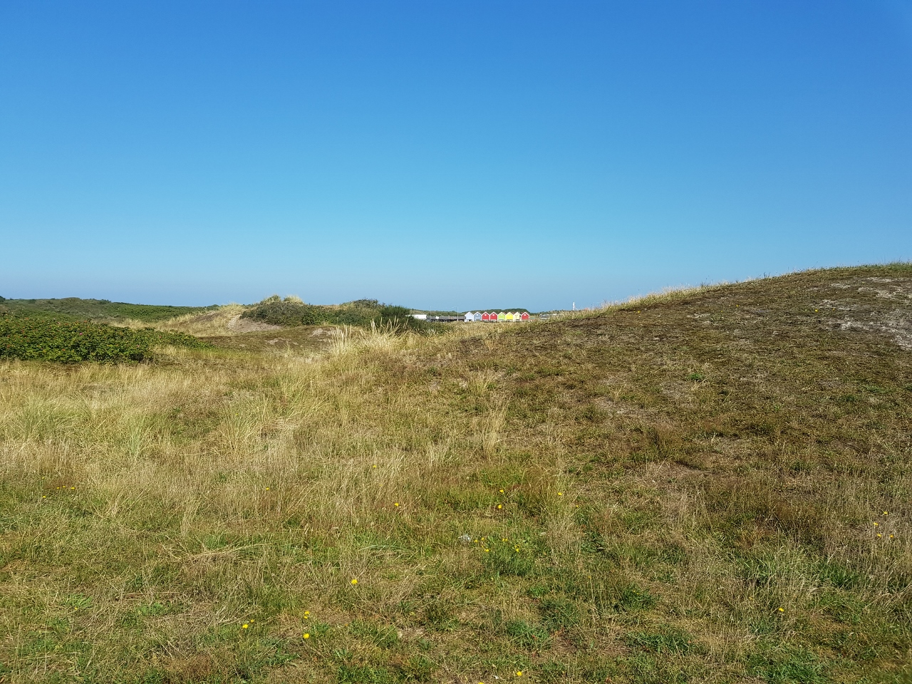 Langeoog Dünen