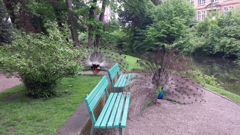 Jever Schlosspark