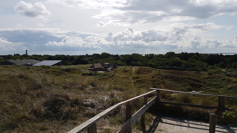 Wangerooge Dünen