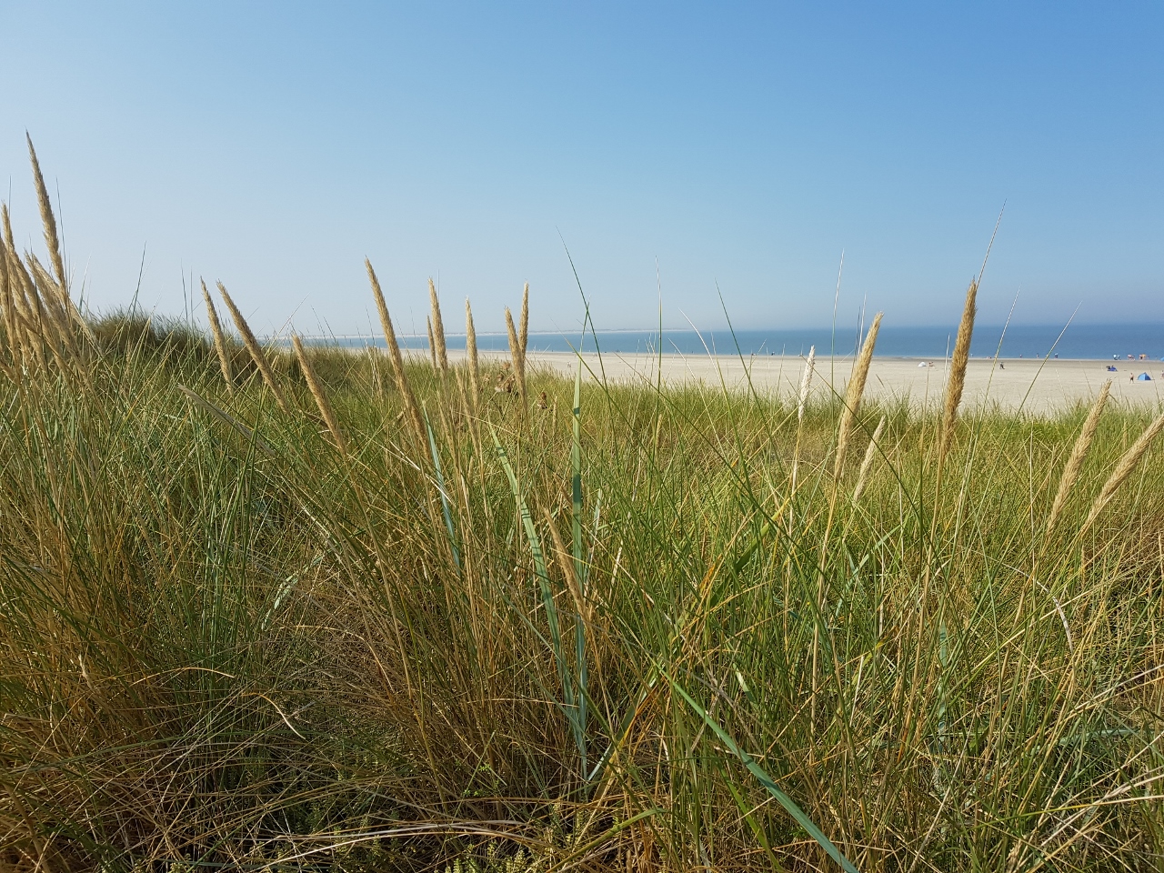 Langeoog Strand