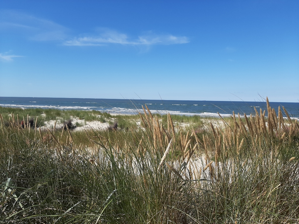 Wangerooge Dünen