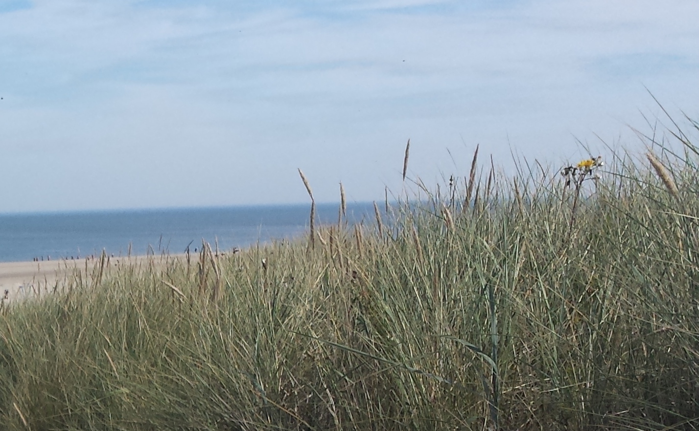 Langeoog Strand