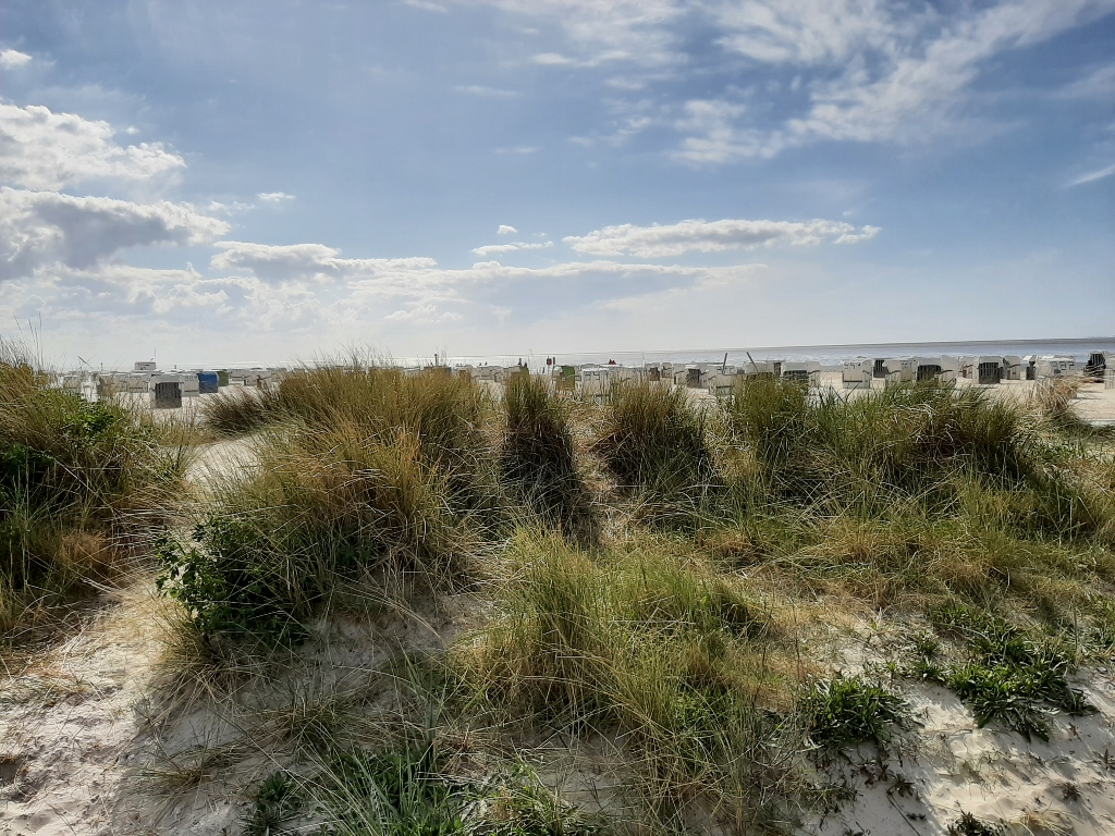 Norddeich Dünen