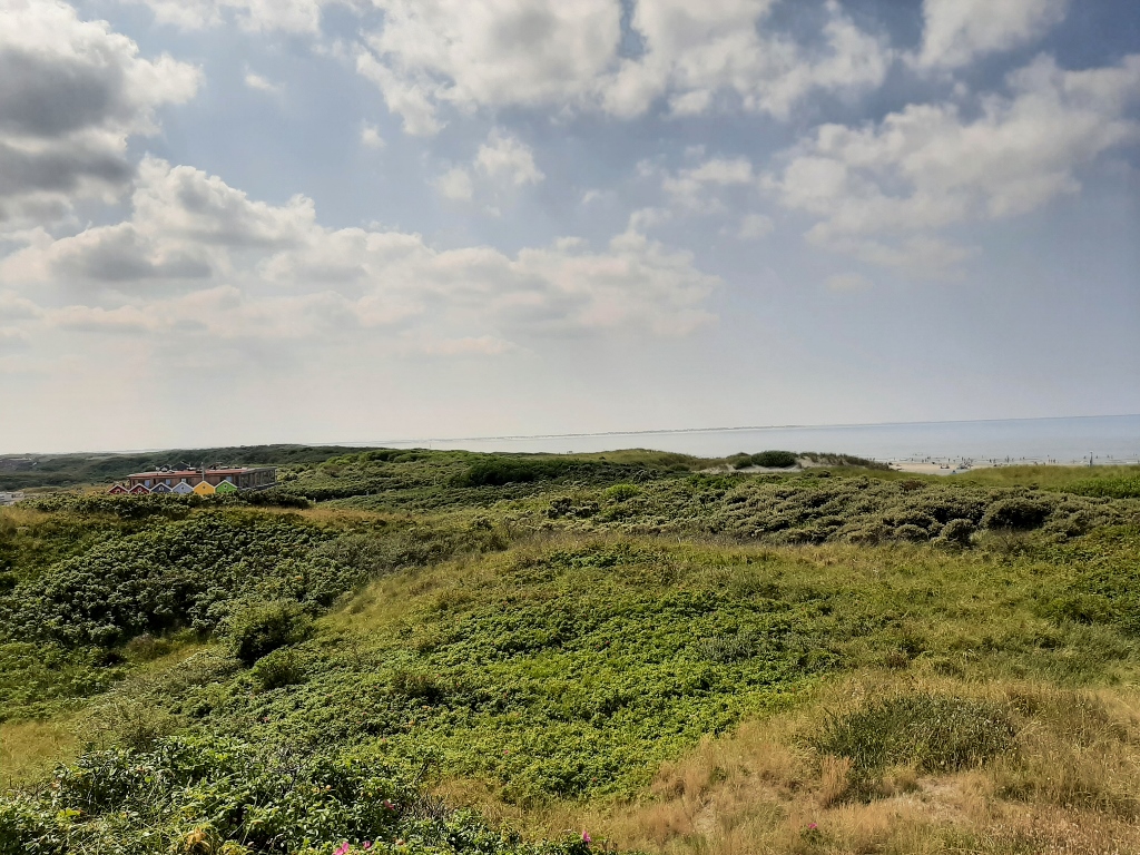 Langeoog Dünen