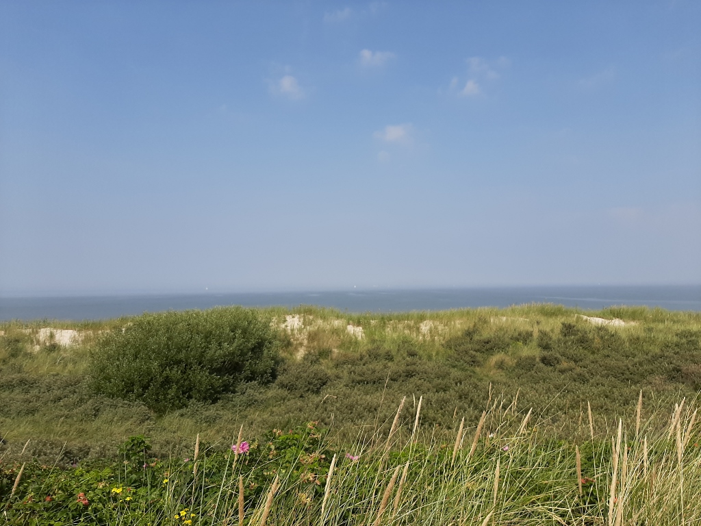 Langeoog Dünen