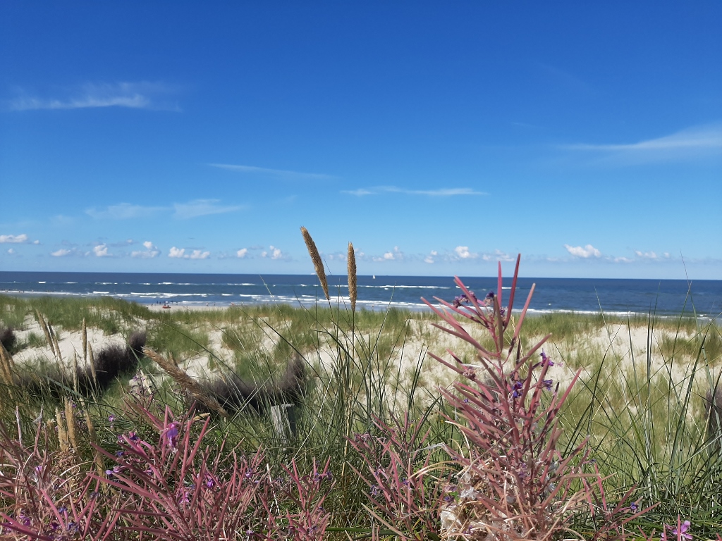 Wangerooge Dünen