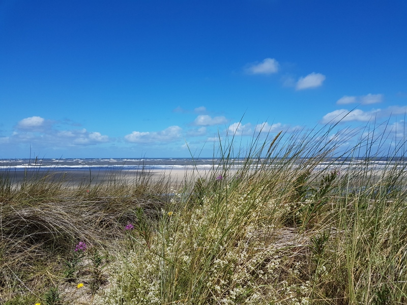 Spiekeroog Strand